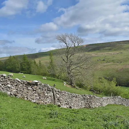 Helwith - Ukc3455 * Marrick