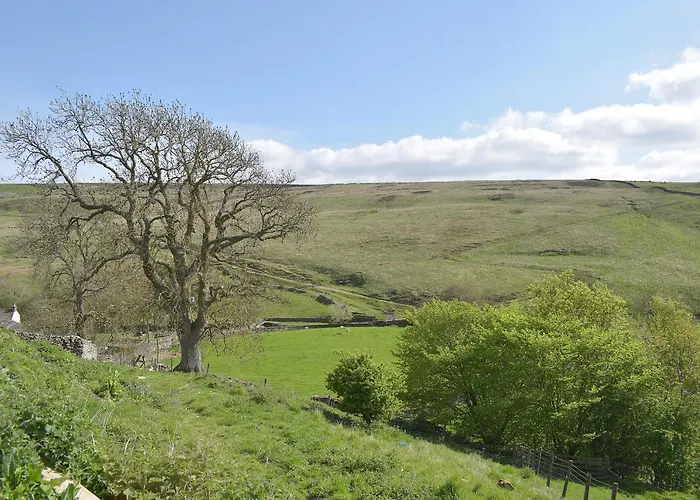 Helwith - Ukc3455 * Marrick