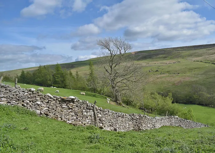 Helwith - Ukc3455 * Marrick